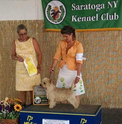 Photo: GCH Brenndarcy Borgen Group 3. Thank you Peter Green for BOB and Beth Sweigart G3!!